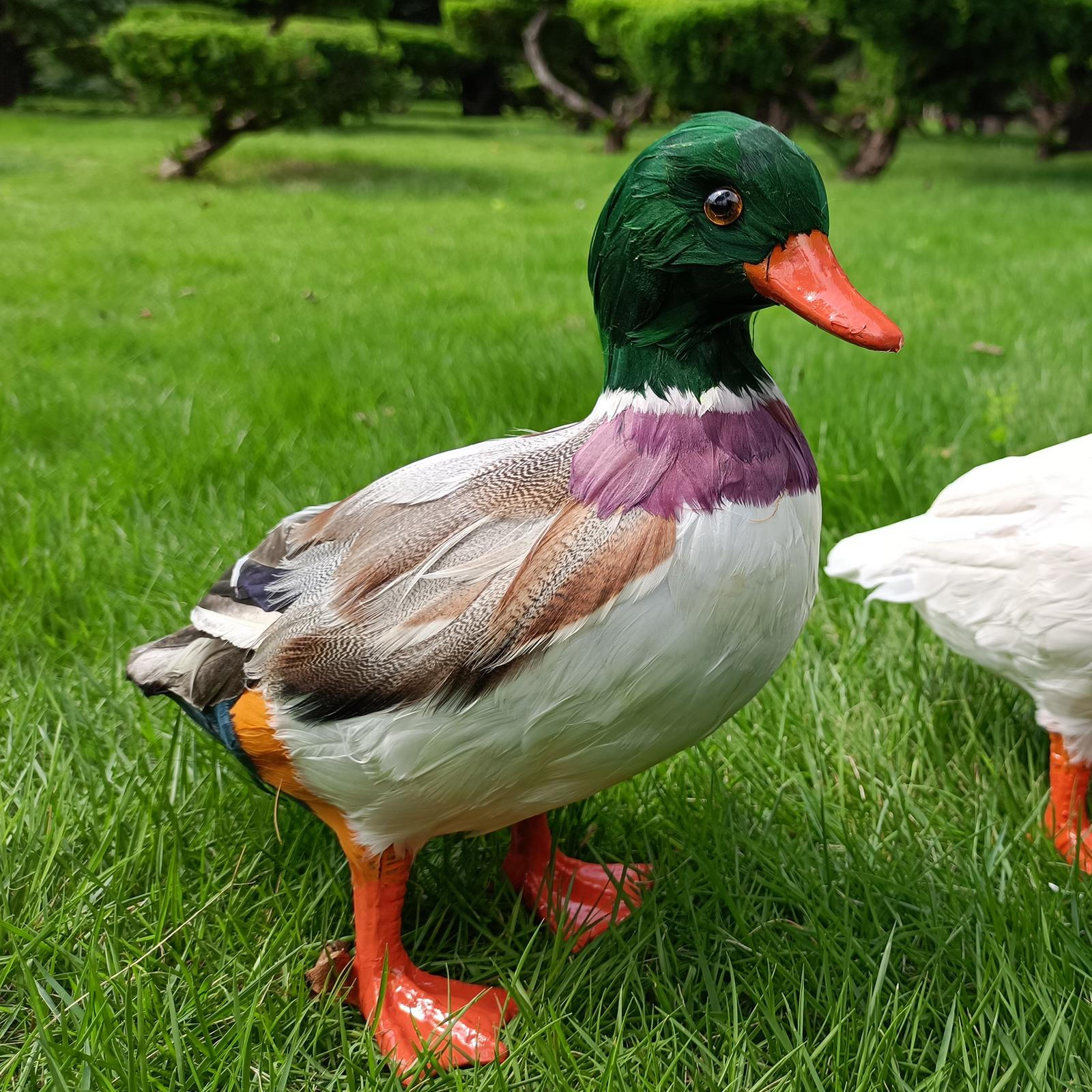 

Garden Duck Statue Miniature Animal Figurines Colorful