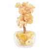 Home Decor Lucky Tree Bonsai Type Money Tree Decoration Decoration Bonsai Money Tree  Home