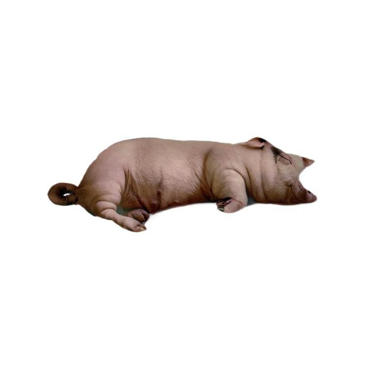 Lifelike Pig Plush Toy Sleeping Pig Stuffed Animal Pillow Cute Soft Pig Doll Home Decor