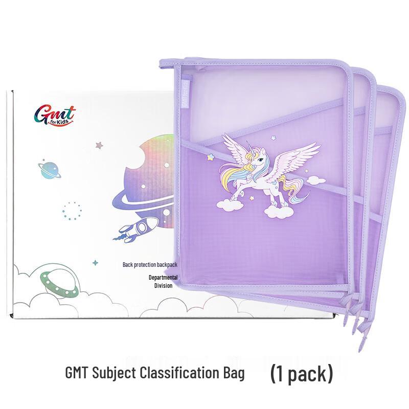 Transparent Subject File Organizer Bag