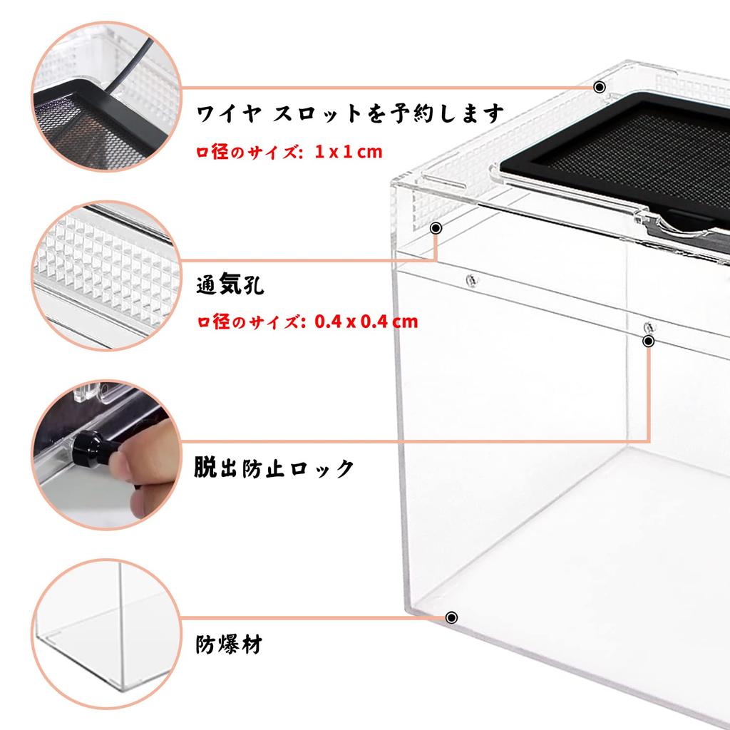 Reptile Growth Small Reptile Cage, Transparent Reptile Cage, Terrarium for Small Animals, Turtles, Turtles, Amphibians, and Other Animals, 20 X 20 X 1