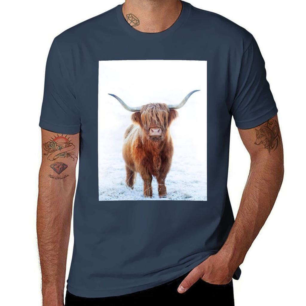 Highland Cow Scotland Tshirt Casual Daily Graphic Tee Tshirt