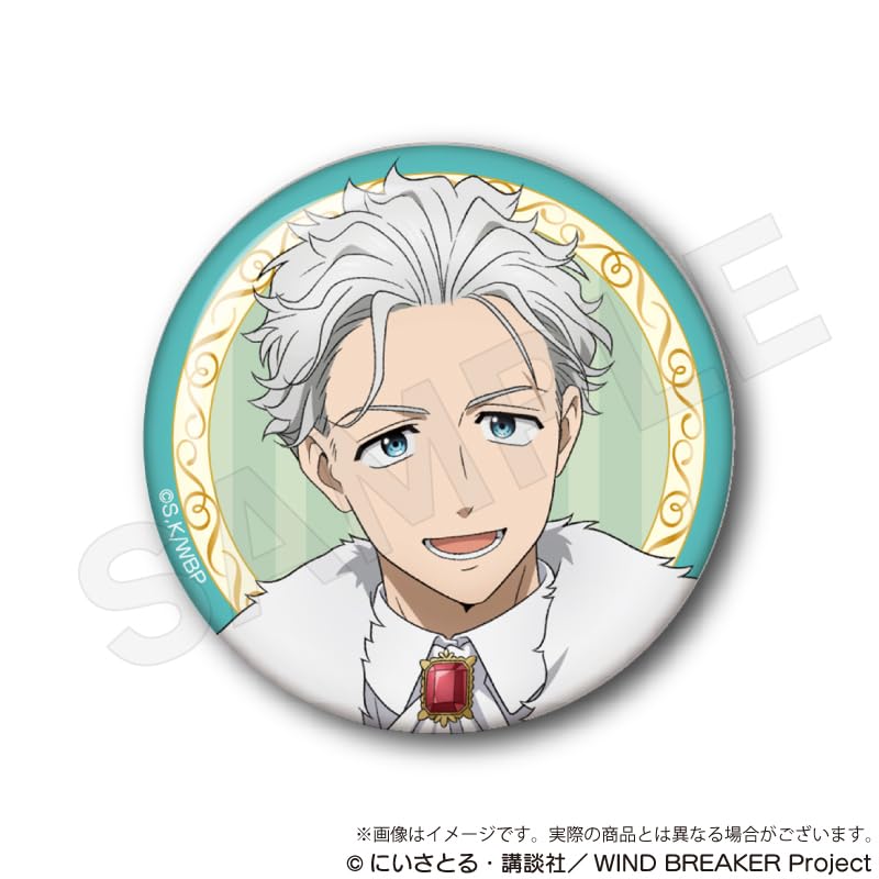 WIND BREAKER Trading Can Badges Magician Box Ver. 5-Piece