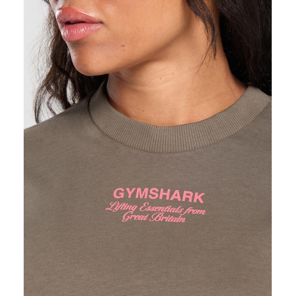 Gymshark BriTish Iron HeavyweighT T shirT  Camo Brown Null B2b1p Nby9