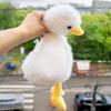 Stuffed Animals Long Hair Duck Plushies Lifelike Goose Duck Stuffed Doll  Birthday Gifts