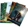 KAANUKA Long Size Notebook - 172 Pages, Ruled, Single Line, A4-29.7cm X 21.0cm, Pack Of 5 Notebooks, Long Size Single li