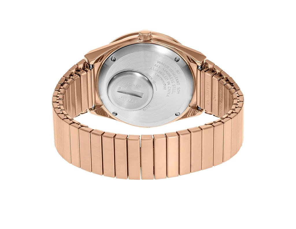 TIMEX TW2W10700 [item]