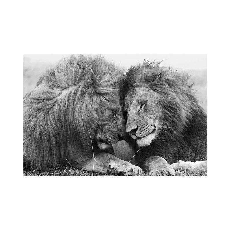 Black White Animals Lions Oil Painting Modern Canvas Posters and Prints Wall Art Picture for Living Room Cuadros Home Decoration