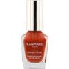 Canmake Colorful Nails N42 Light Orange   Ida Laboratories