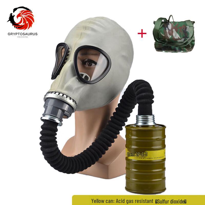 Ying Zui Long MF1A Full-Face Gas Mask