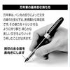 Platinum Fountain Pen Plaisir Fine Point Blue