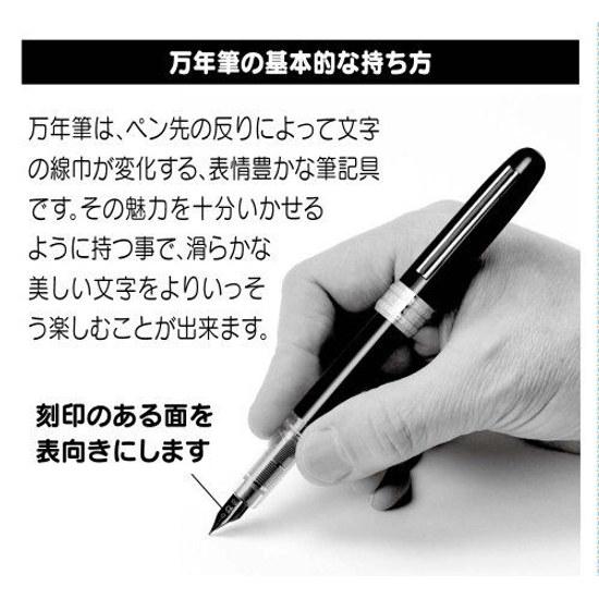 Platinum Fountain Pen Plaisir Fine Point Blue