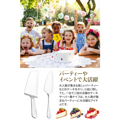 RITTER Cake Server (Stainless Steel) [Supervised by a Food Coordinator (and Active Chef)] Cake Knife for Cake Portioning (Type B)