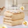 FUANNA Antibacterial Soy Fiber Winter Duvet