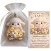 Easy To Carry Handmade Easter Pocket Hug Card Surprise Element Thoughtful Easter Surprise Card Acrylic Plane Rabbit Theme