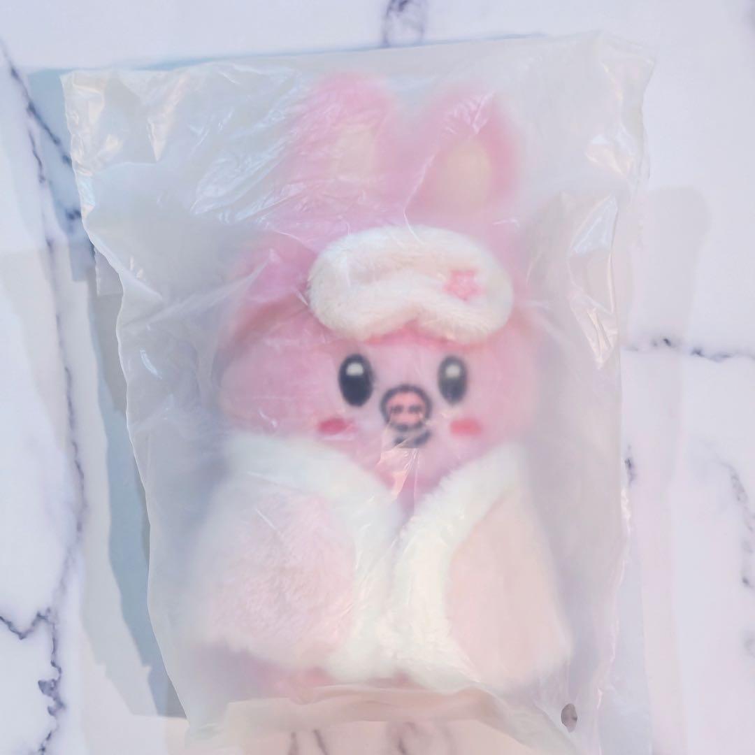 

[USED] Stray Kids (SKZOO) Korea 6th Fan Meeting Plush Toy 10cm Changbin