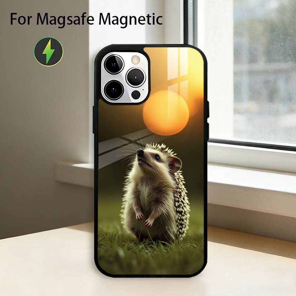 

B-Bright Hedgehog In The Fog Phone Case For iPhone17,16,15,14,13,12,11 Plus,Pro Magnetic For Magsafe Wireless Charging iPhone14PROMAX
