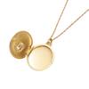 Personalized Necklace Open And Close Tiger Album Zircon Pendant Necklace Collarbone Chain Electroplated Gold Color Retention