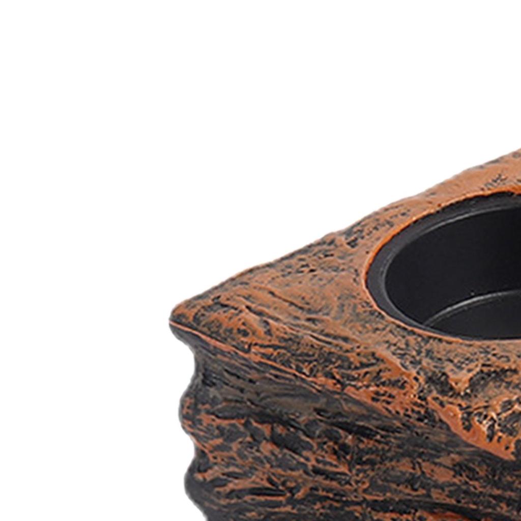 Magnetischer Reptilienfutterspender Futter Wasserbecher Schale Reptilienfutternapf für Chamäleon Haustiere Tiere Kronengecko Eidechse