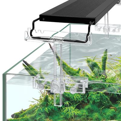 Peixes e animais aquáticos – Manutenção de aquário