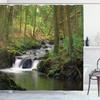 Wooden Background Daisy Butterfly Shower Curtain Machine Washable All Season Waterproof Privacy Protection Rustic Design Natural