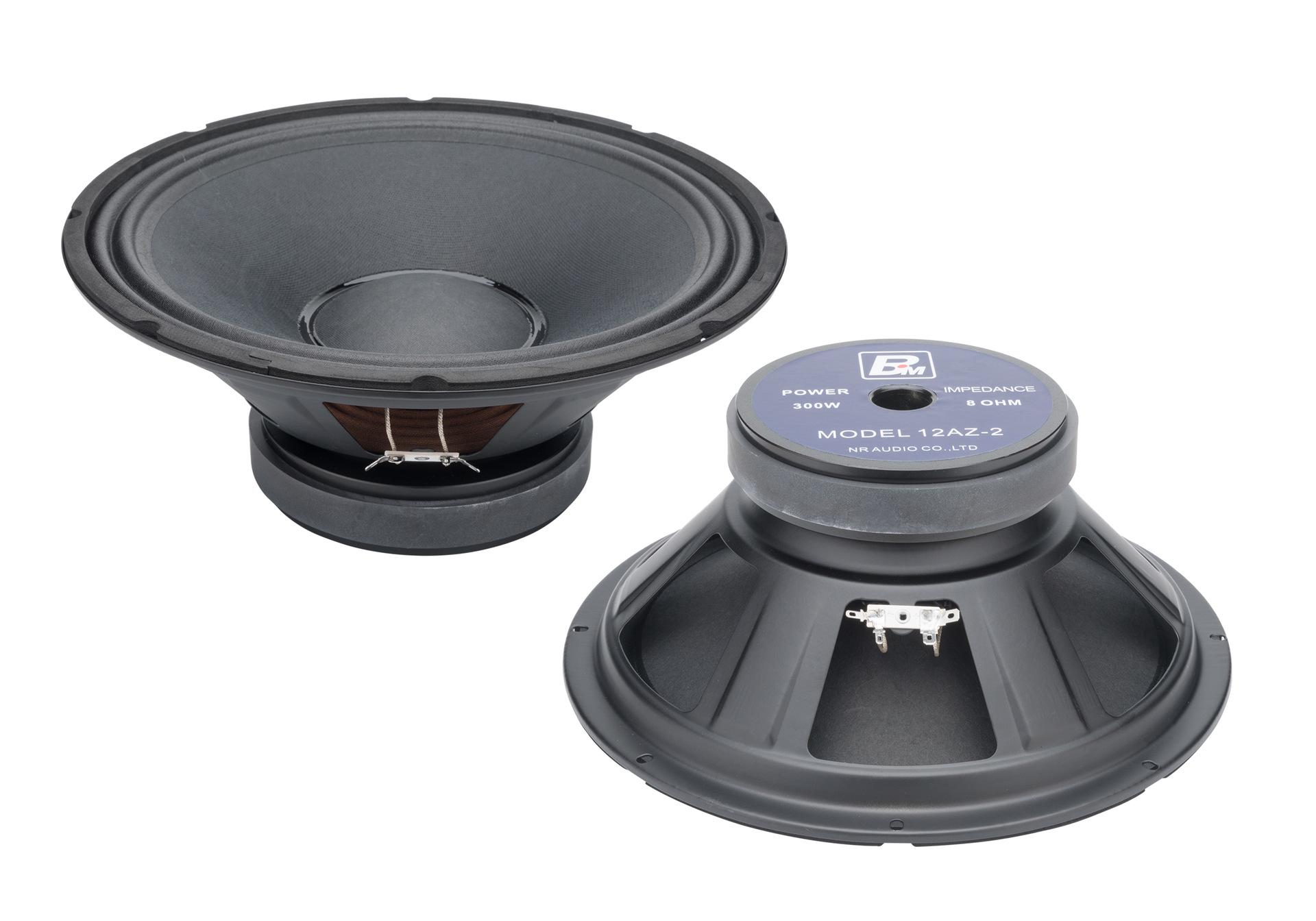 BM Layton 12-inch 300W Wedding Performance Subwoofer Speaker