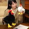 20/35/50cm Simulation Cock Chick Doll Plush Toy Stuffed Black White Farmland Animal Soft Plushie Birthday Gift