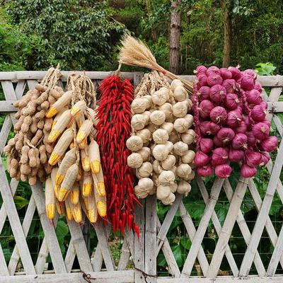 Decorazione Appesa Artificiale di Aglio e Peperoncino - Stile Rustico & Oggetti di Scena per Fotografia