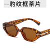 Fashion  Cat Eye Women's Sunglasses Luxury Design Small Frame Oval Sun Glasses Shades Female Trendy Eyewear Oculos De Sol