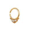 1pc 18g 8mm CZ Steel Clicker Segment Nose Rings Hoop Open Hinged Ear Helix Septum Piercing Unisex Body Jewelry Piercing Nostril