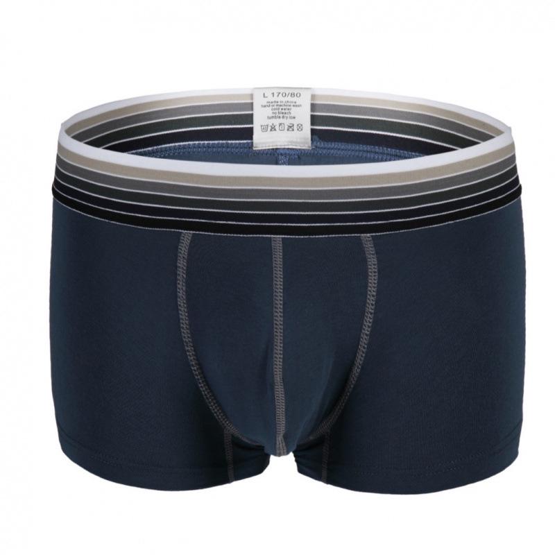 Men's Gradient Waistband Boxer Briefs