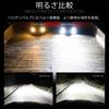 Shingen LED KIWAMI Headlights and Fog Lamps HIR2 Total Measured 55W Bulbs (2 Bulbs) - Value 12,600 Lumens, Built-in Canceller, High-Power
