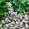 090D Resin Skull Figurines Set of 40 Mini Decor for Home and Garden Accent