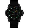 Часы Luminox Xs.3251.Cb (Xs3251Cb)