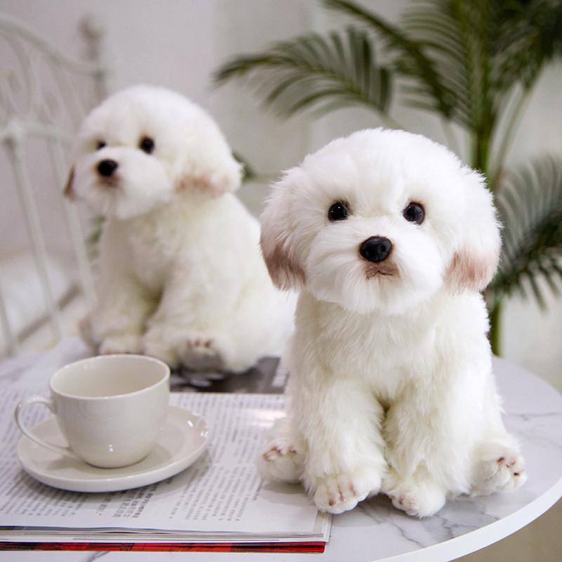 Dog Plush Maltese Toy Animal Stuffed Doll Home Bedroom Decoration Gift Kids