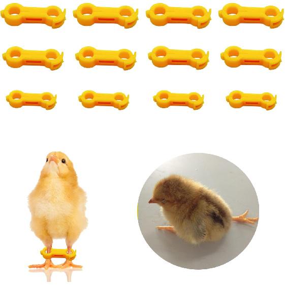 12Psc Baby Chick Splay Leg Hobble Brace, Baby Chick Leg Hobbles, Poultry Leg Bands, Chicken Hobble Braces for Newborn Spraddle Leg of Chick Quails