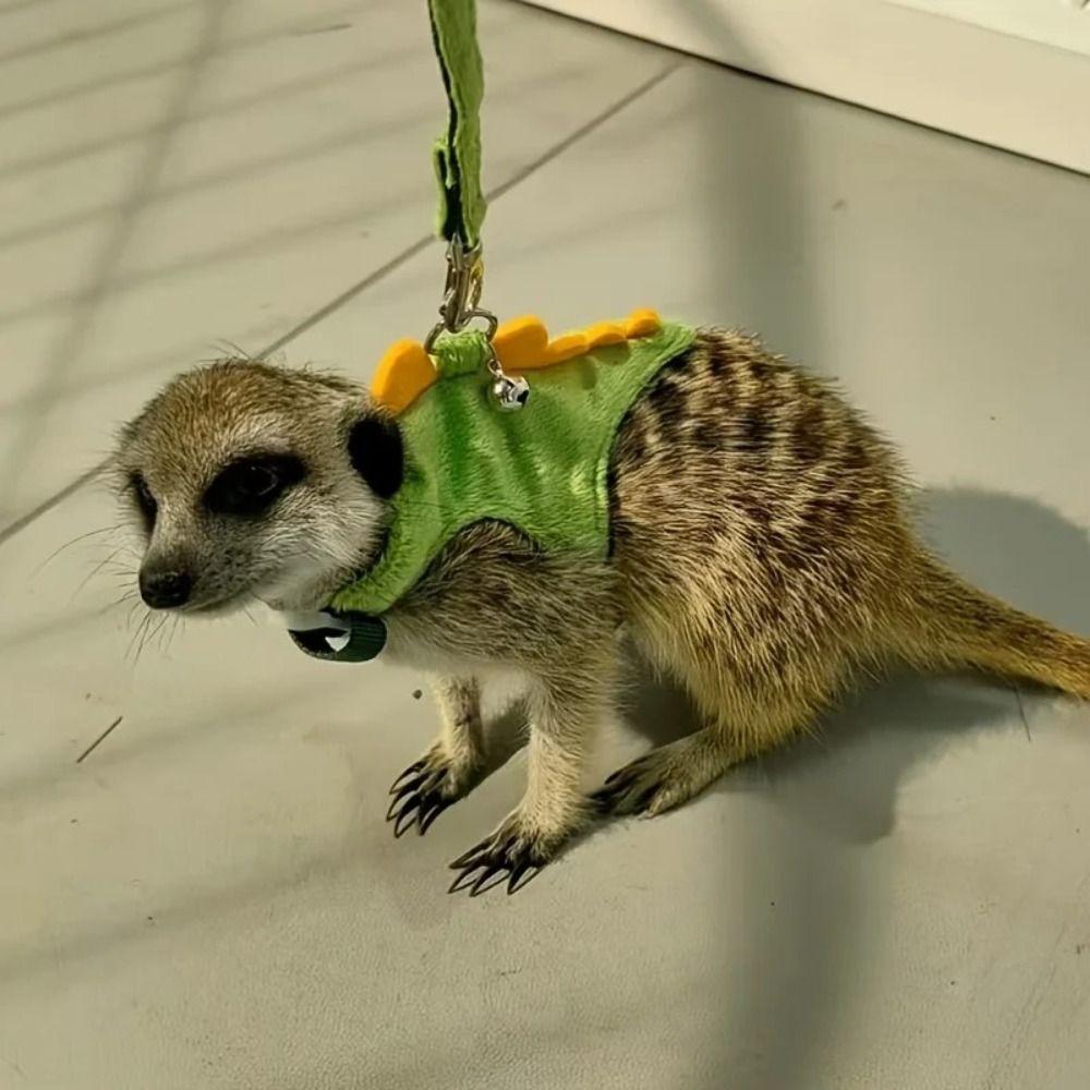Roztomilý krátký vodítko pro fretku, typ vesty, nastavitelný, s rolničkou, tvar dinosaura, pro chůzi s myšmi, procházka s mazlíčkem