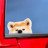 2 Pieces 6"x3.75" Waterproof Car Bike Decoration Akita Dog Despicable Eyes Vinyl Decal -