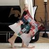 The S-Summer H-Hikaru Died Pillow Covers Cartoon Sofa Decorative Home Double-sided Printing Short Plush Cute Cushion Cover
