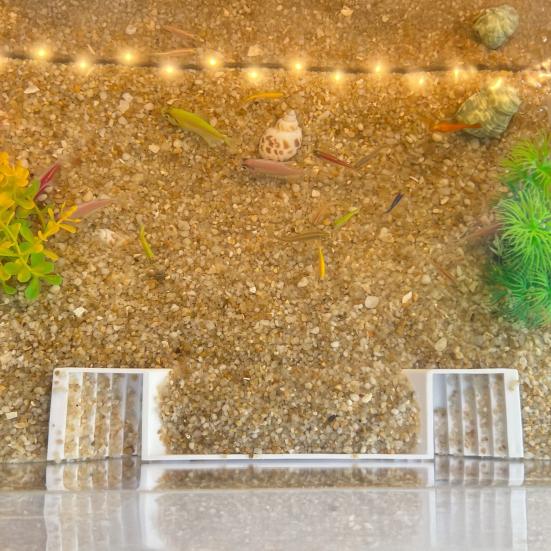 Fish Hideout Tunnel Under Gravel Viewing Cave with Steps Fish Shelter Resting Cave for Aquariums Freshwater Saltwater Fish Tanks