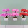 Plumosus Apargus Baker Plastic Faux Bonsai For Indoor Decoration Tabletop