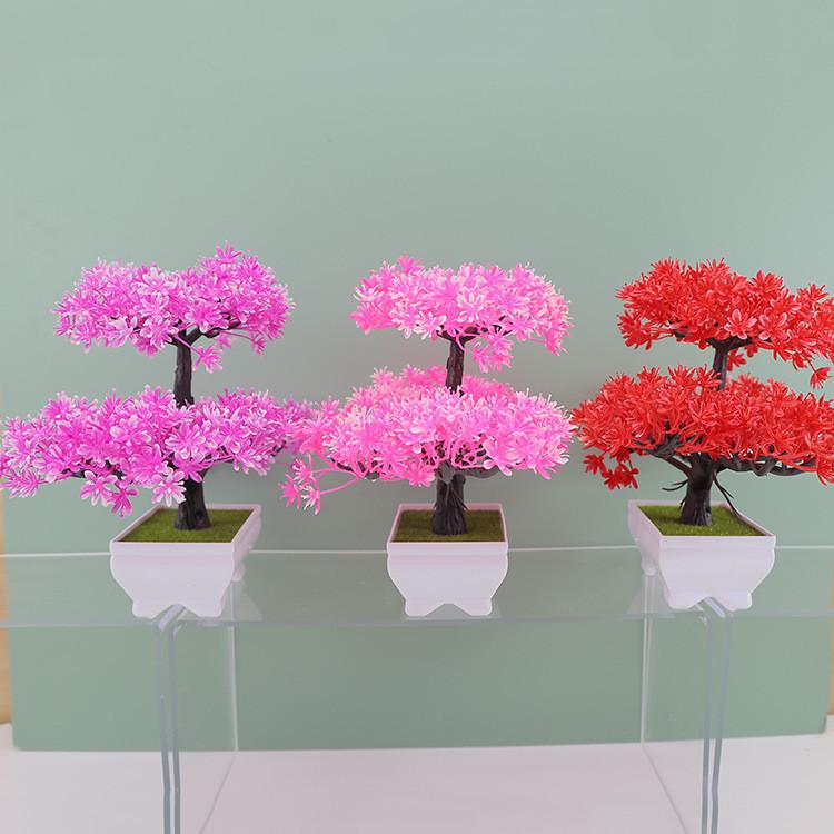 Plumosus Apargus Baker Plastic Faux Bonsai For Indoor Decoration Tabletop