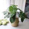 Potted Plant Indoor Drip Irrigation Automatic Watering Tool Dripper Bottle Self-Watering System
