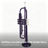 Trumpets Set for Beginner, Brass Student Instrument with Case, Cleaning Kit, Mouthpiece and
