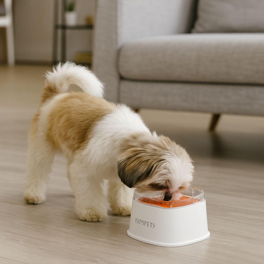 Non-Wetting Mouth Pet Floating Bowl Anti-Tip Removable Dogs Slow Drinking Bowl Spill Proof Large Capacity Pet Drinking Dispenser