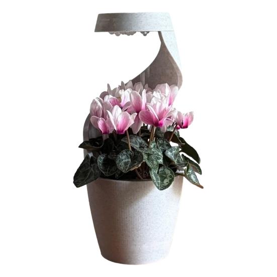 

Cloud Watering Planter with Hidden Drainage Tray Self Watering Planter with Slow Drip Rain Effect Modern Desktop Flower Pot B