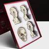 Art Plaster Portrait Teaching Aids Simulation Flat Head Plaster Portrait Practical Mini Version Resin Tool Sketch Learning
