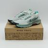 FQ0908-013 Pegasus Trail 5 GORE-TEX Light Silver Clay Green Mint Foam (Men'
