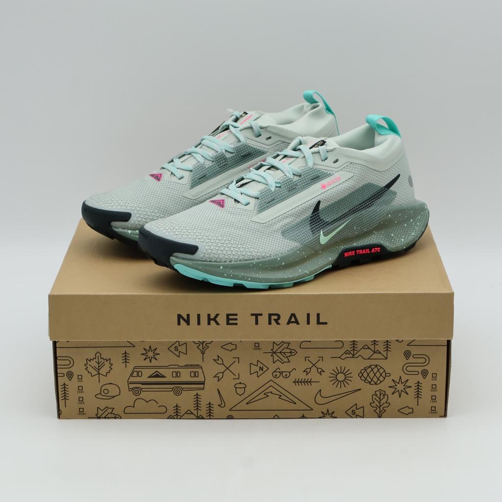 FQ0908-013 Nike Pegasus Trail 5 GORE-TEX Light Silver Clay Green Mint Foam (Men'