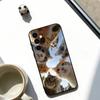 The Cat Crew  Phone Case Black Silicone Soft For Samsung Galaxy A73,A72,A71,A70,A53,A52,A51